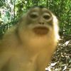 kamalazman6