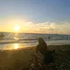 _maicccaa