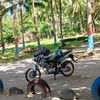 ferdyardy339