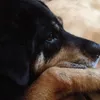 masterwaiting