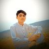 najibali208