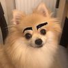 miyawwww1