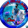 lino_alavi3