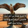 user22226158