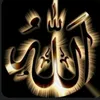 naeemahmed_786
