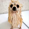 qwsaqase