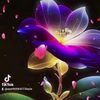 user90984573leyla