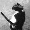 um_gato_samurai