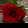 user166000771