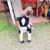nehfiltronao_