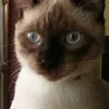 oliveirafernando61