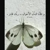umhussein_111