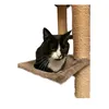inka_cat