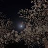 no_rra25