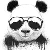 El_pandita07🐼✅