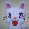puuuccaa