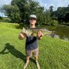 dallas_bumgarner