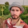 user82136538
