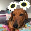 hannahfromtiktokx