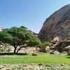 alharbiz6