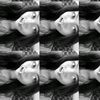 ynoviaaa_