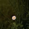 ain19_official