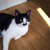 robin_susan1
