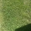 pulpostop
