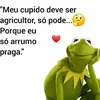 valdivaribeiro0