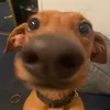 matheussroocha