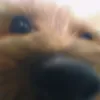nando_studios
