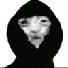 aygyipq