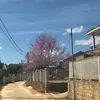 ctienhh