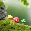 thethao.bongda.picklebal