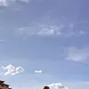wollywollybb