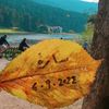 sara.mustafa.t