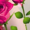 user31051357