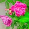 faheemraza869