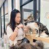 kitty0008291889