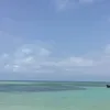 fuyumt