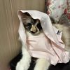 cahaya_syurga3