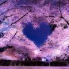 _charlene_6