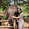 Nicha🐘🤍