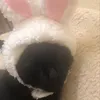 rabityye