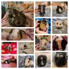 jaycee_guineapigowner
