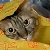 osuosu0415