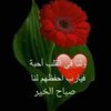 yassinjami3
