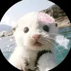 mt20_1