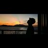 restoe_boemi07