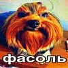 brawltop453